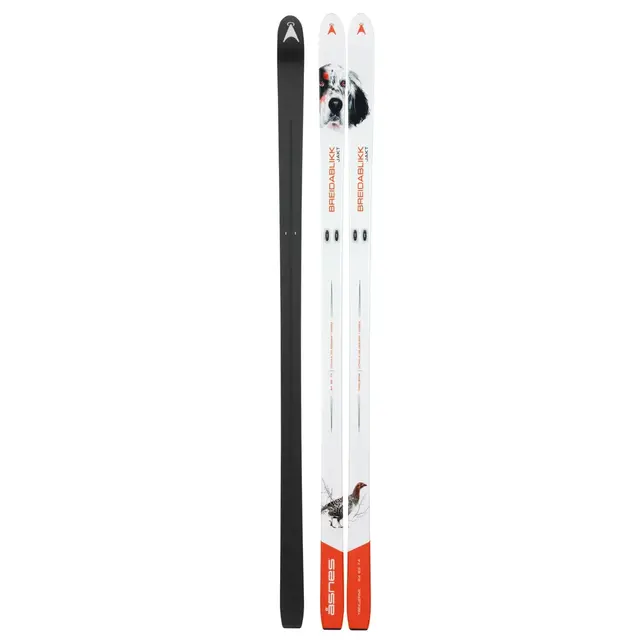Topptur 99 Fjellski, 172cm 